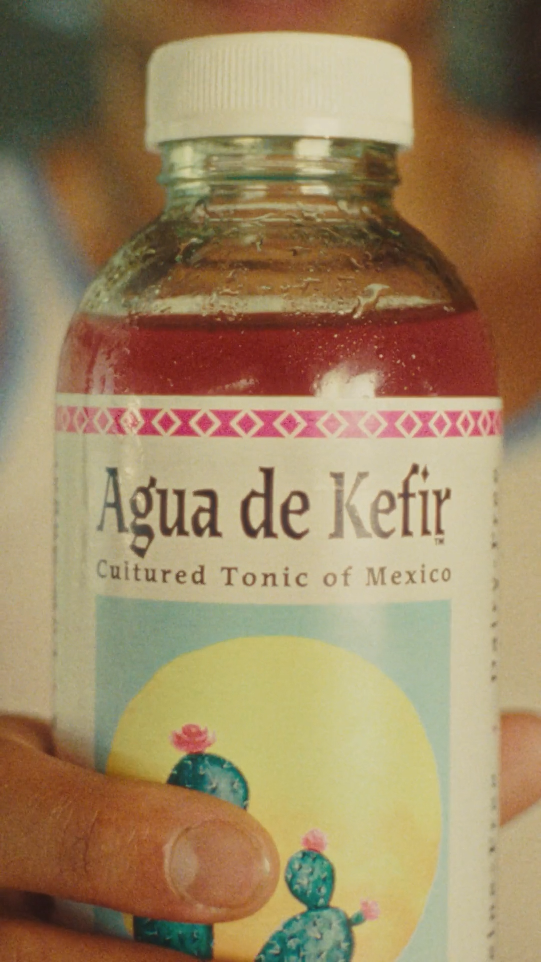 Agua de Kefir Receipts